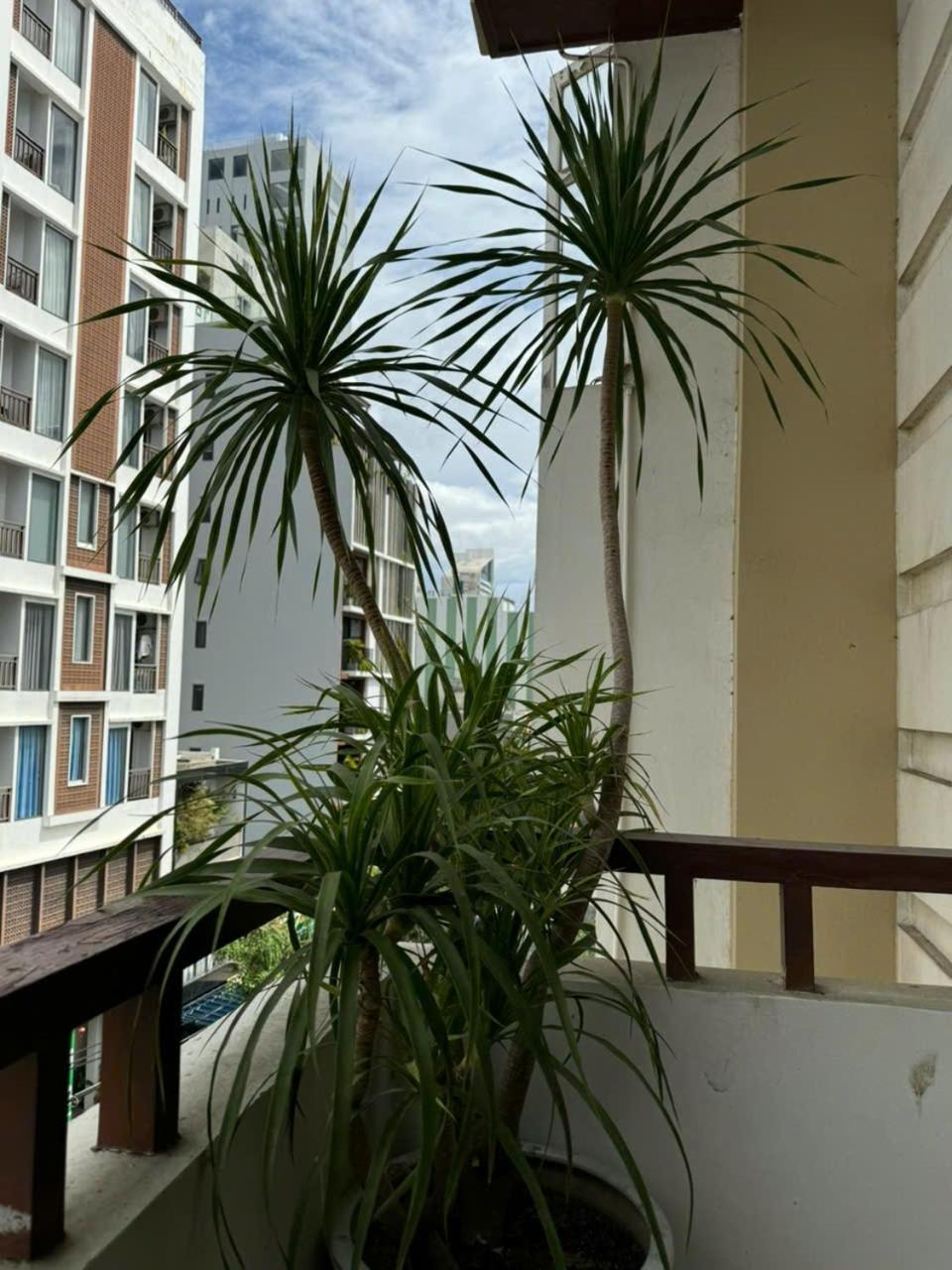 Hotel Thanh Hien Hb